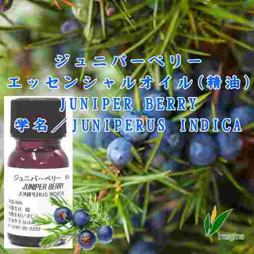 ジュニパーベリー／エッセンシャルオイル(精油)
