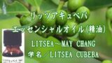 リッツアキュベバ／エッセンシャルオイル(精油)