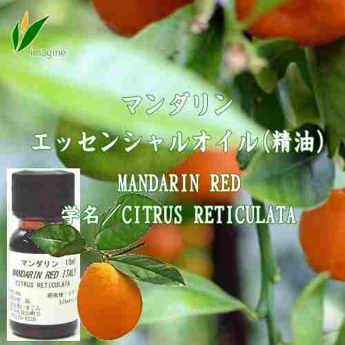 マンダリン／エッセンシャルオイル(精油)