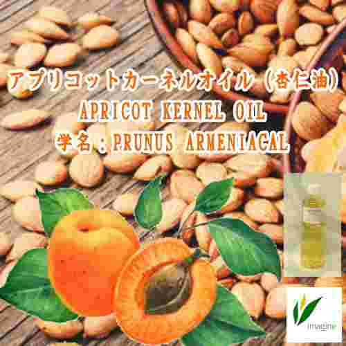 アプリコットカーネルオイル（杏仁油）