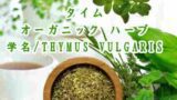 「※」オーガニック ハーブ／タイム