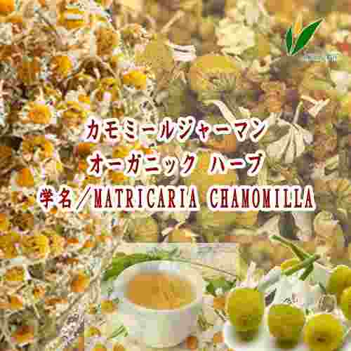 「※」オーガニック ハーブ/カモミールジャーマン