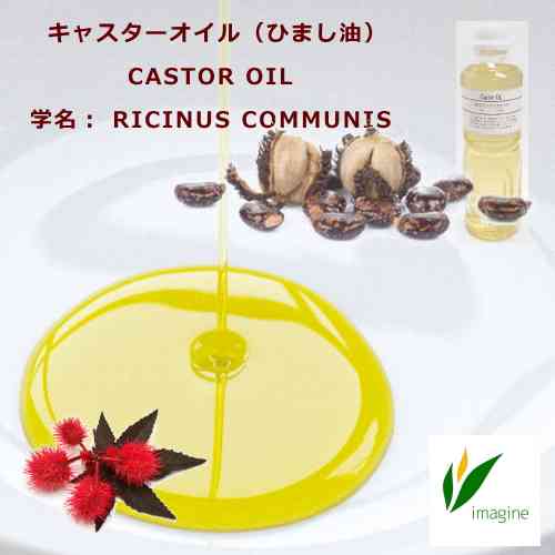 キャスターオイル（ひまし油）