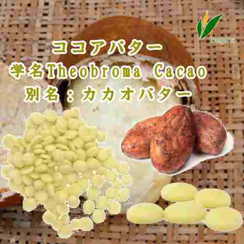 バター／ココアバター