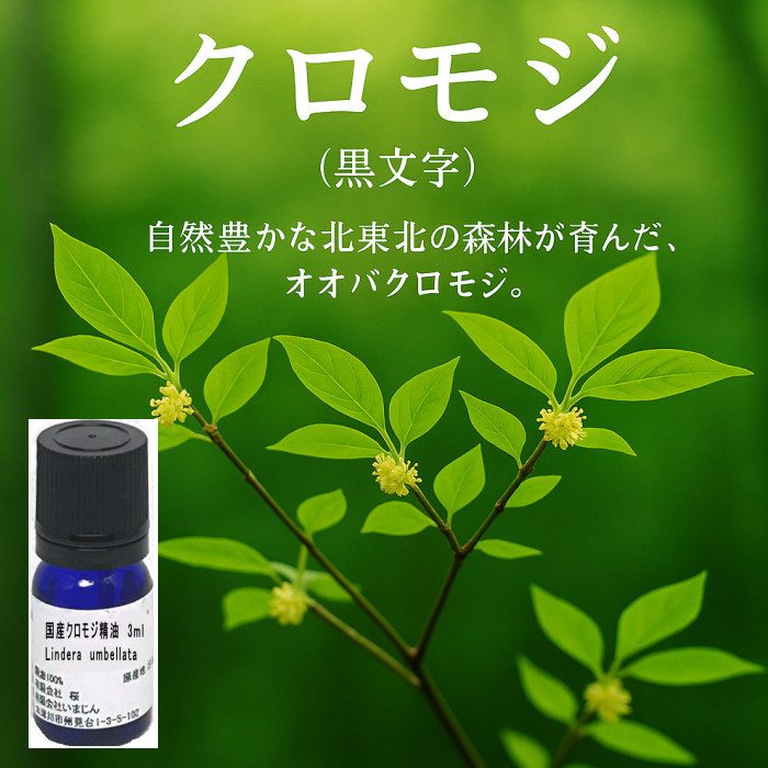 国産クロモジ精油
