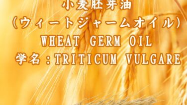 小麦胚芽油（ウィートジャームオイル）